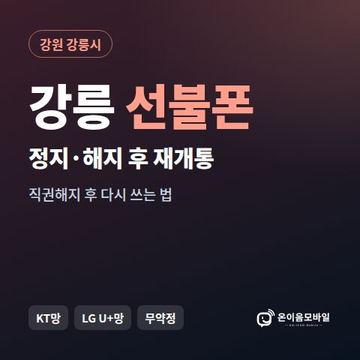 강릉시정지폰 선불폰 개통 안내 이미지