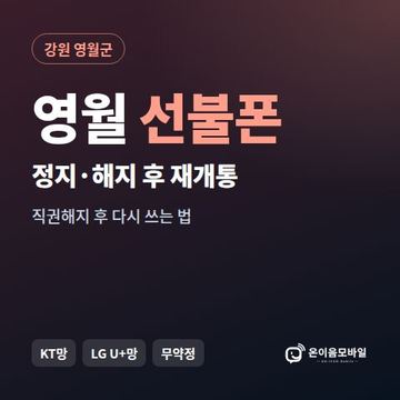영월군정지폰 선불폰 개통 안내 이미지
