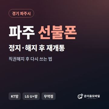 파주시정지폰 선불폰 개통 안내 이미지