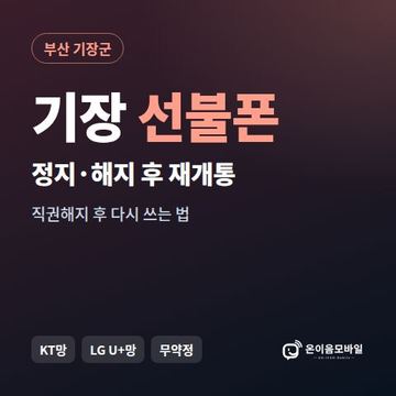 기장군정지폰 선불폰 개통 안내 이미지