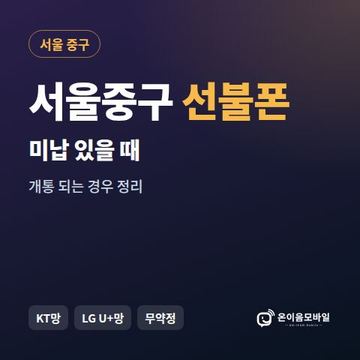 서울중구선불폰 미납요금 있을 때 안내 이미지