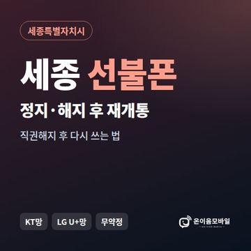 세종정지폰 선불폰 개통 안내 이미지