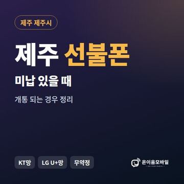 제주시선불폰 미납요금 있을 때 안내 이미지