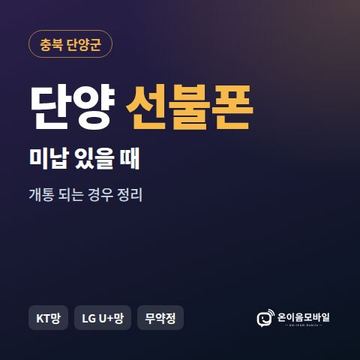단양군선불폰 미납요금 있을 때 안내 이미지